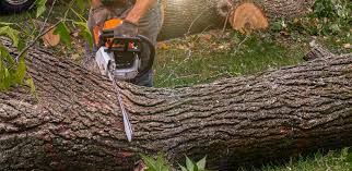 Lawn Drainage Solutions in Johnson City, TX